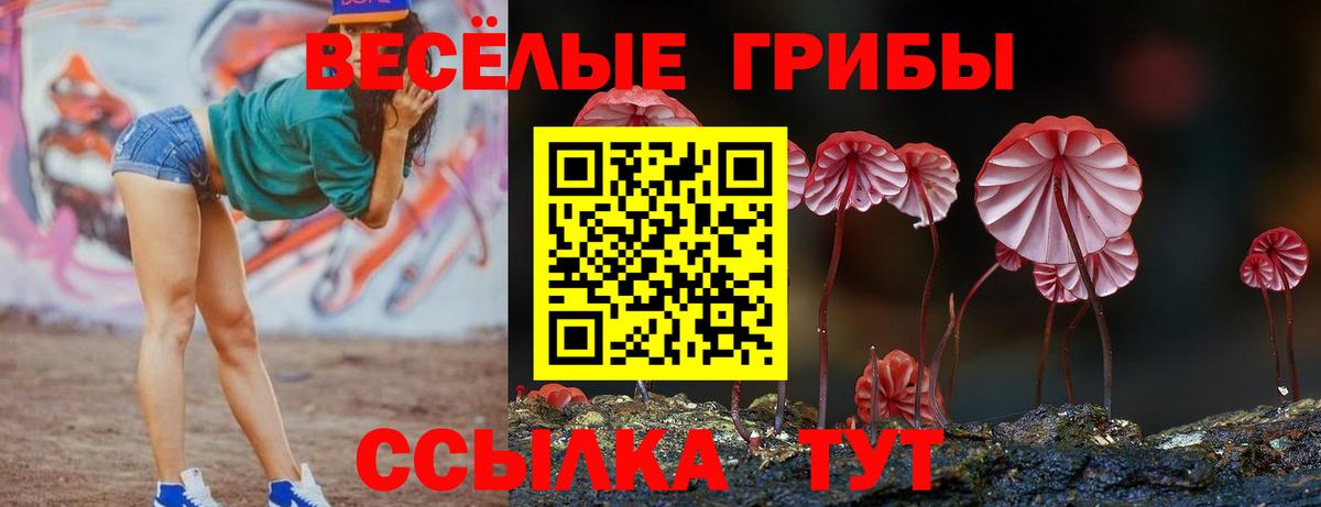где купить наркоту  Вход с VPN  Еманжелинск  Псилоцибиновые грибы Psilocybe 